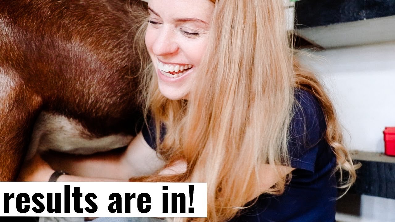 Goat Milk Testing Results--What Do the Numbers Mean??