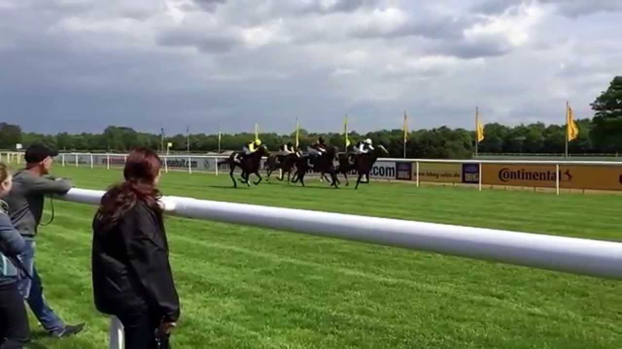 Pferde in Zeitlupe , horses in slow motion 2015