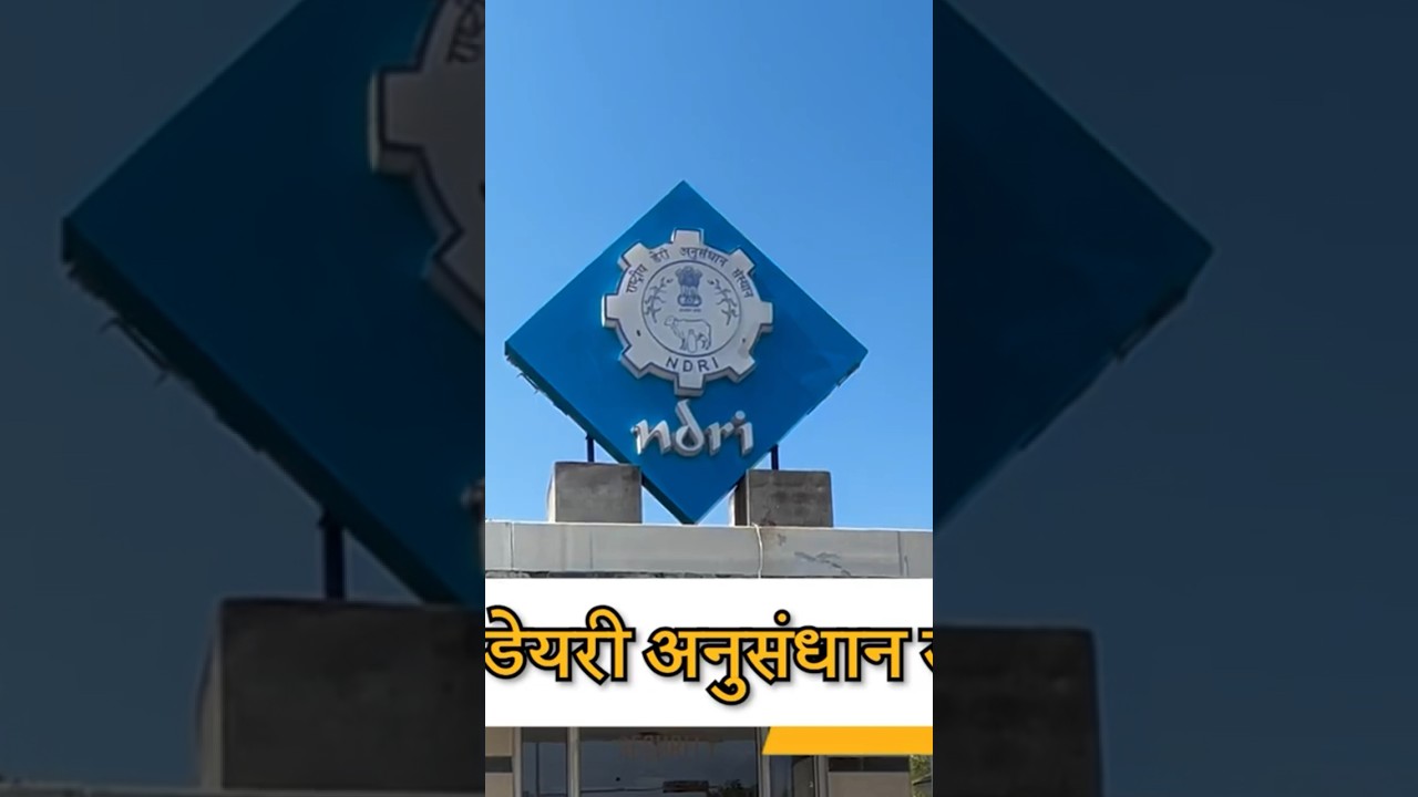 NDRI National Dairy Research Institute Tour Karnal Haryana 🐄🐮🥛#dairy #dairyfarming #ndri