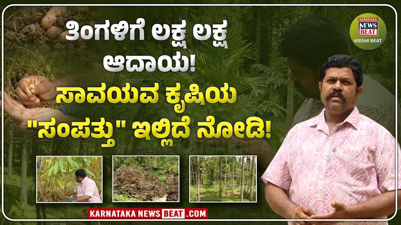Organic farming | ಸಂಪತ್‌ ಕುಮಾರ್ ಸಕ್ಸಸ್ ಸೀಕ್ರೆಟ್! ತಿಂಗಳಿಗೆ ಲಕ್ಷ ಲಕ್ಷ ಆದಾಯ! | KNB