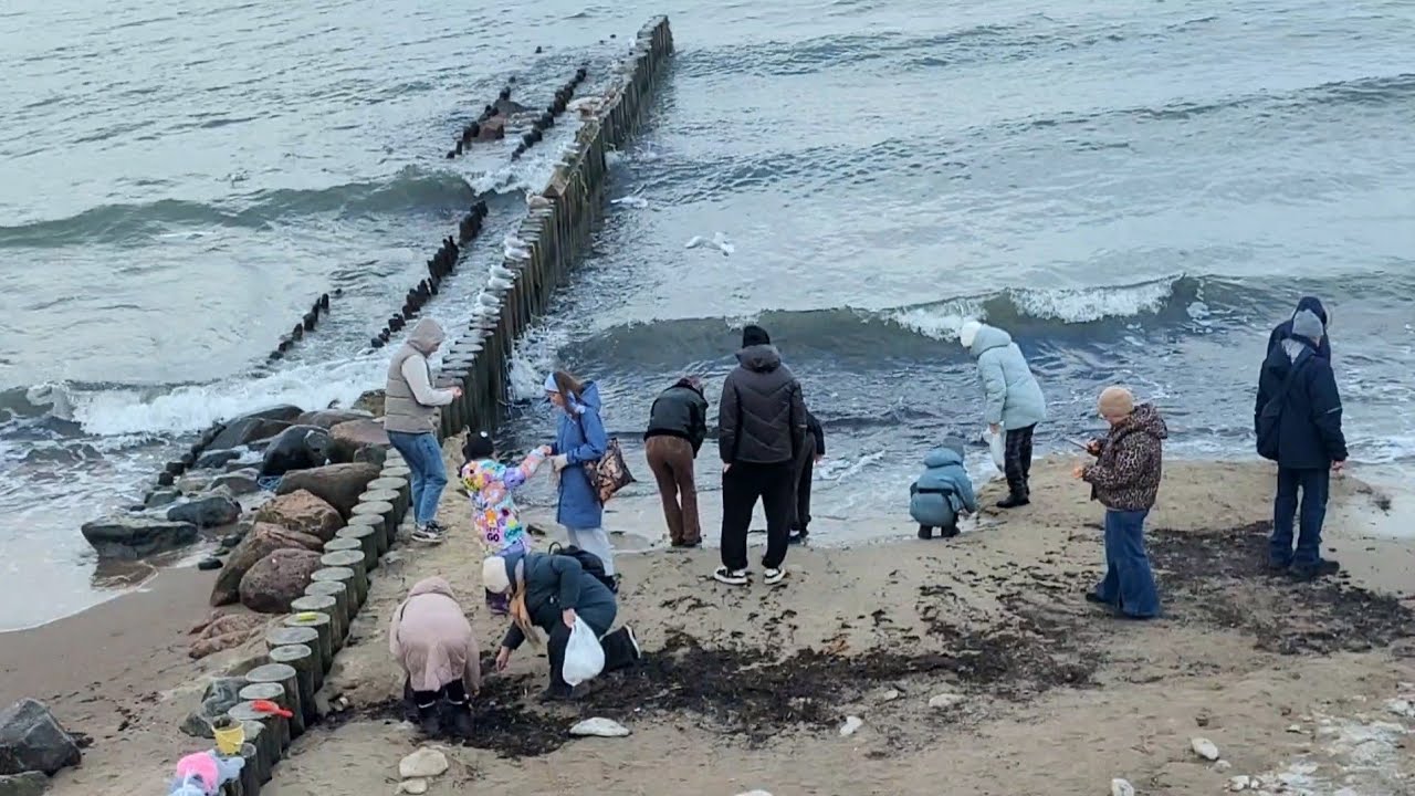 😯ЧТО МОЖНО НАЙТИ НА БЕРЕГУ? 🤫😄 БАЛТИЙСКОЕ МОРЕ🌊 ЗЕЛЕНОГРАДСК ПОГОДА СЕГОДНЯ 👍