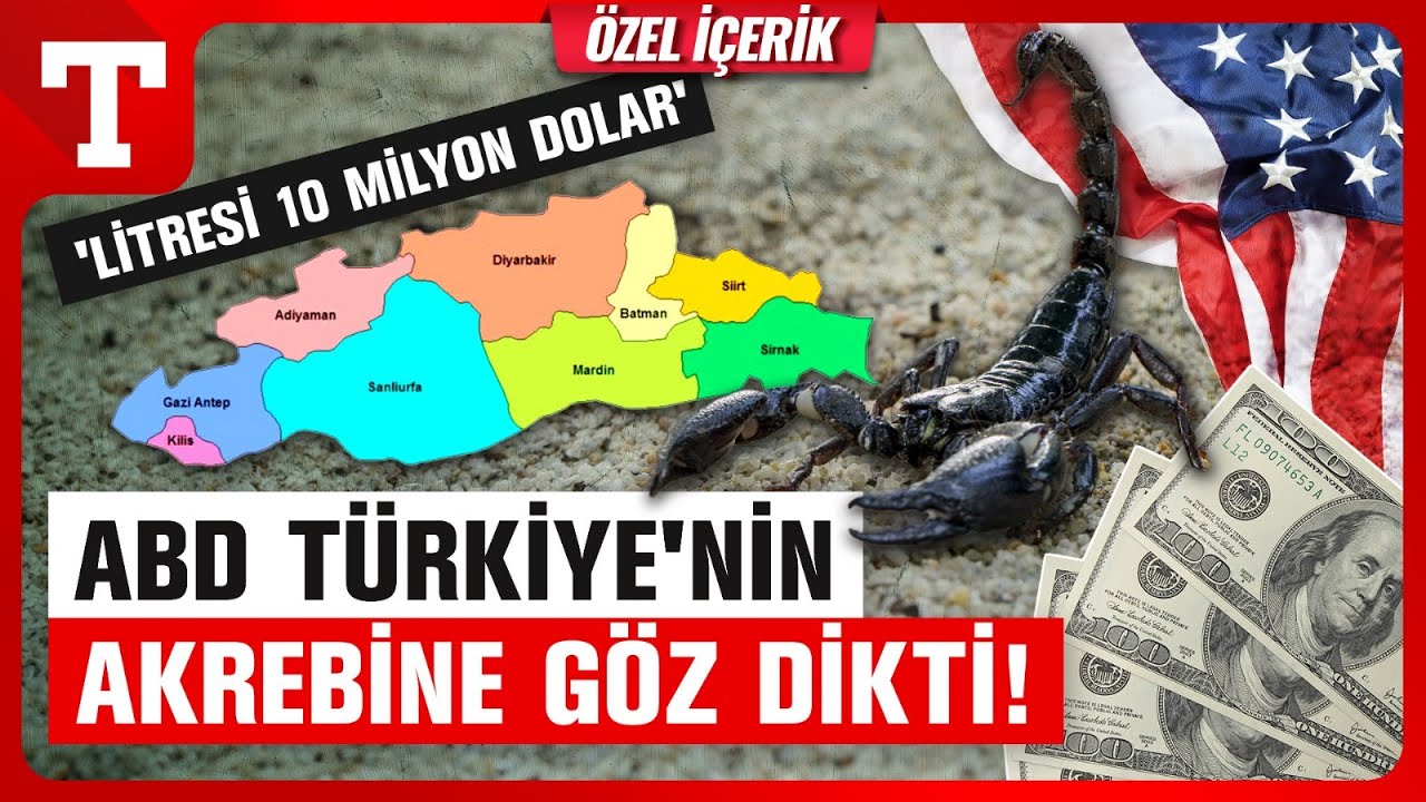 ABD'nin T&uuml;rkiye'deki 10 Milyon Dolarlık Akrep Avı! - T&uuml;rkiye Gazetesi
