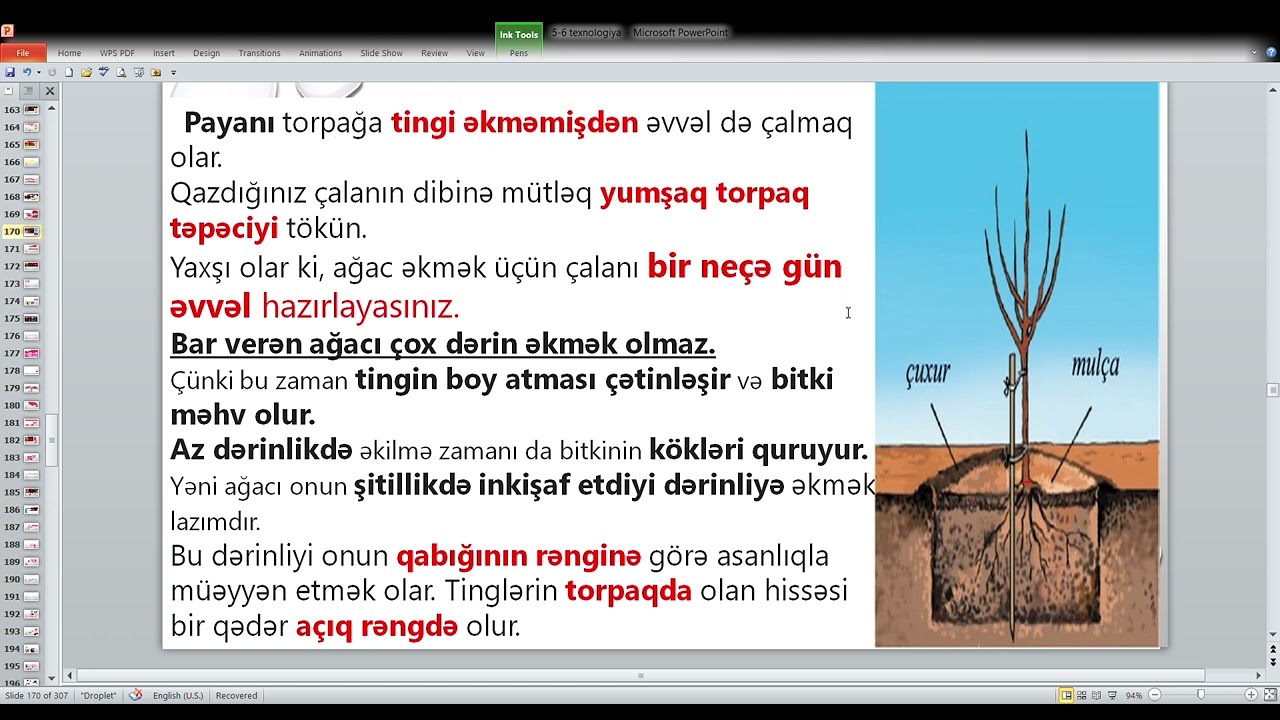 6 Texnologiya  MEYVƏ AĞACLARININ ƏKİLMƏSİ VƏ MEYVƏLƏRİN                     SAXLANMA TEXNOLOGİYASI