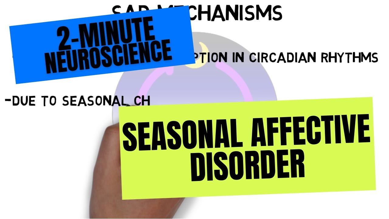 2-Minute Neuroscience: Seasonal Affective Disorder
