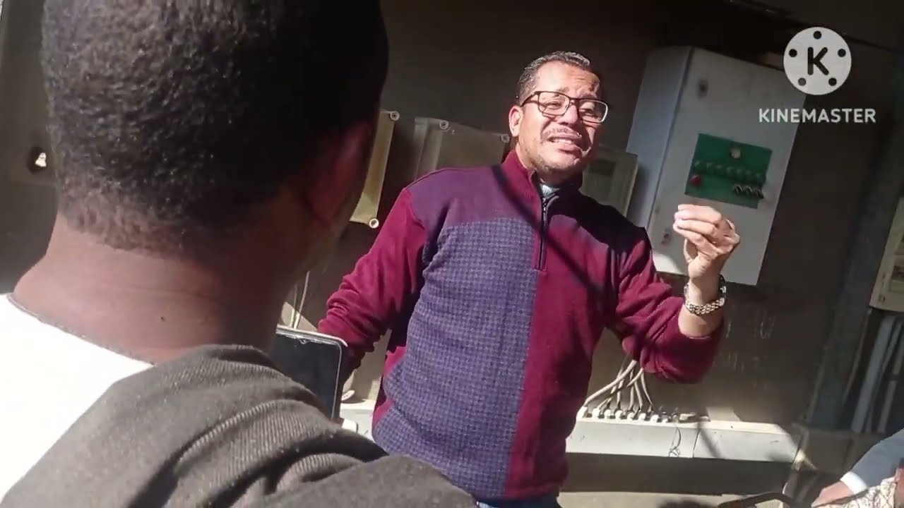 6 مشاكل وأخطاء قاتلة يسببها السماد البلدى لأشجار المانجو