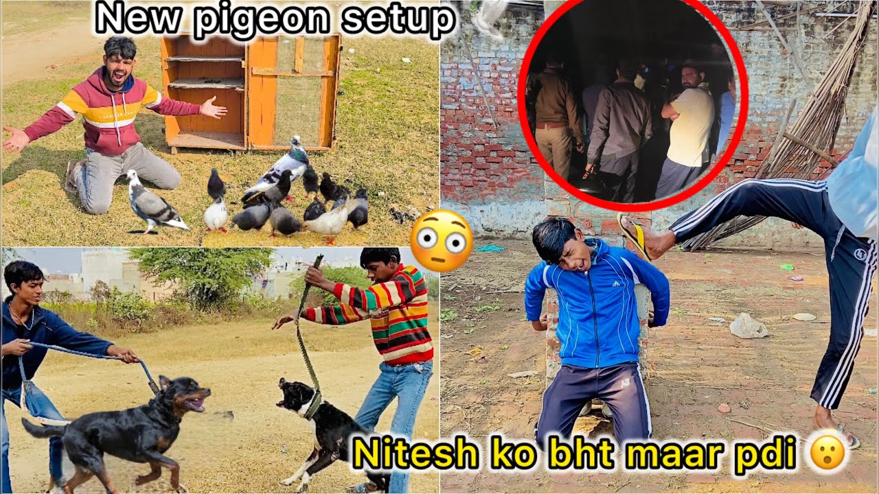Kabutar ka naya Setup 🕊️ || Dog Fight main hogyi ladai 😑