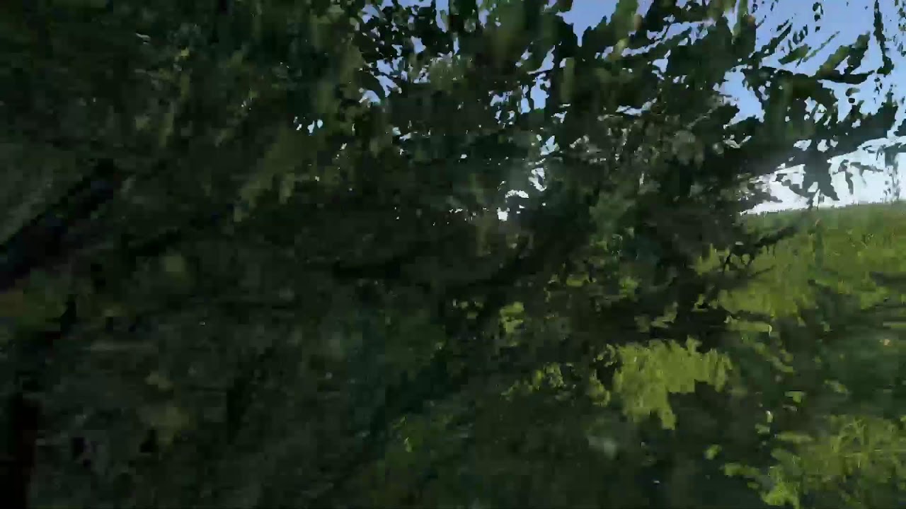 Trying to Platinum DayZ the organic way part 7!