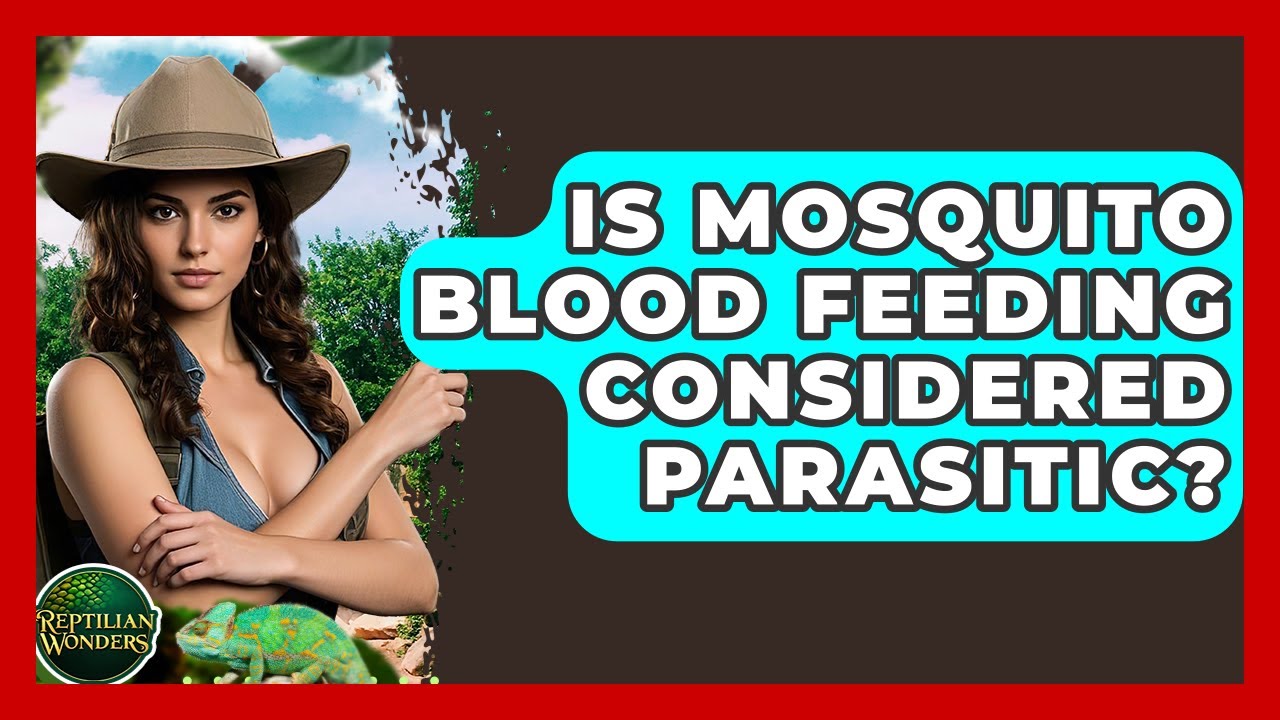 Is Mosquito Blood Feeding Considered Parasitic? - Reptilian Wonders