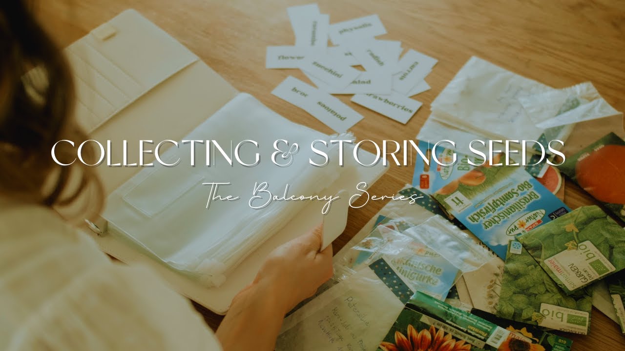 Collecting and storing your own seeds I THE BALCONY SERIES EP. 06