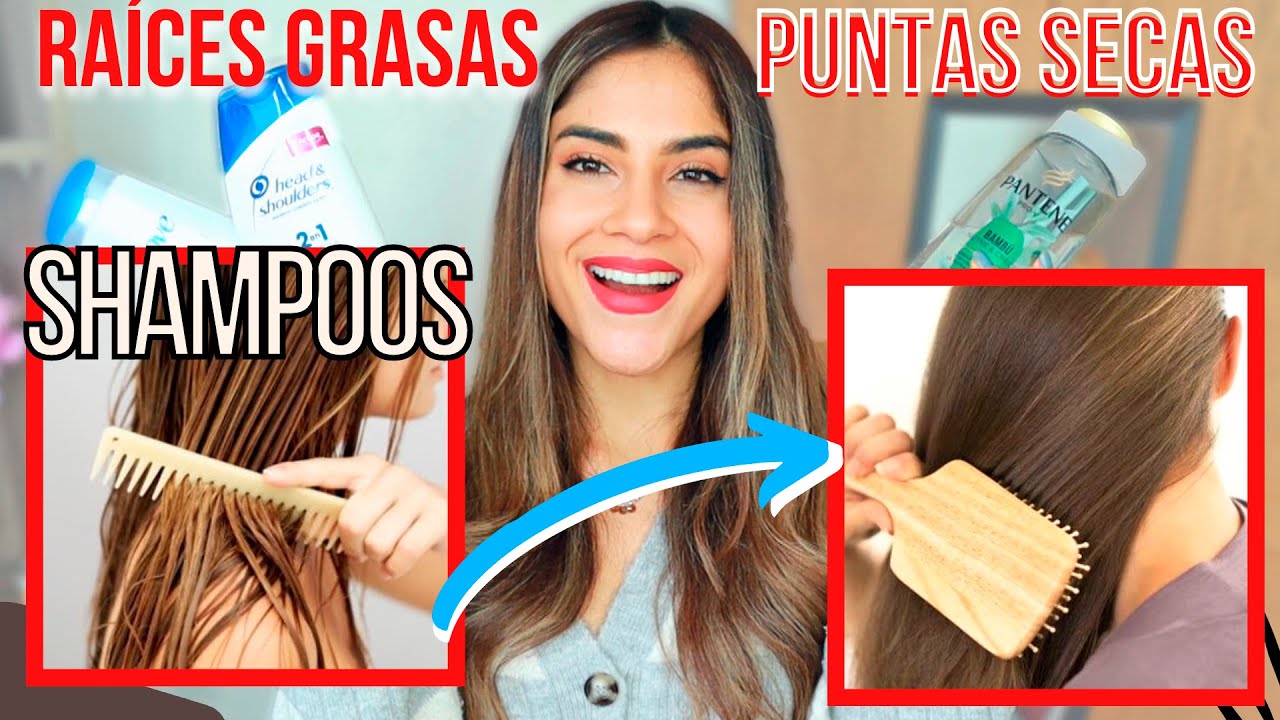 TOP 5 SHAMPOOS para CABELLO GRASO 👌 RAÍCES GRASAS y PUNTAS SECAS *ECONÓMICOS* del SÚPER Y FARMACIA