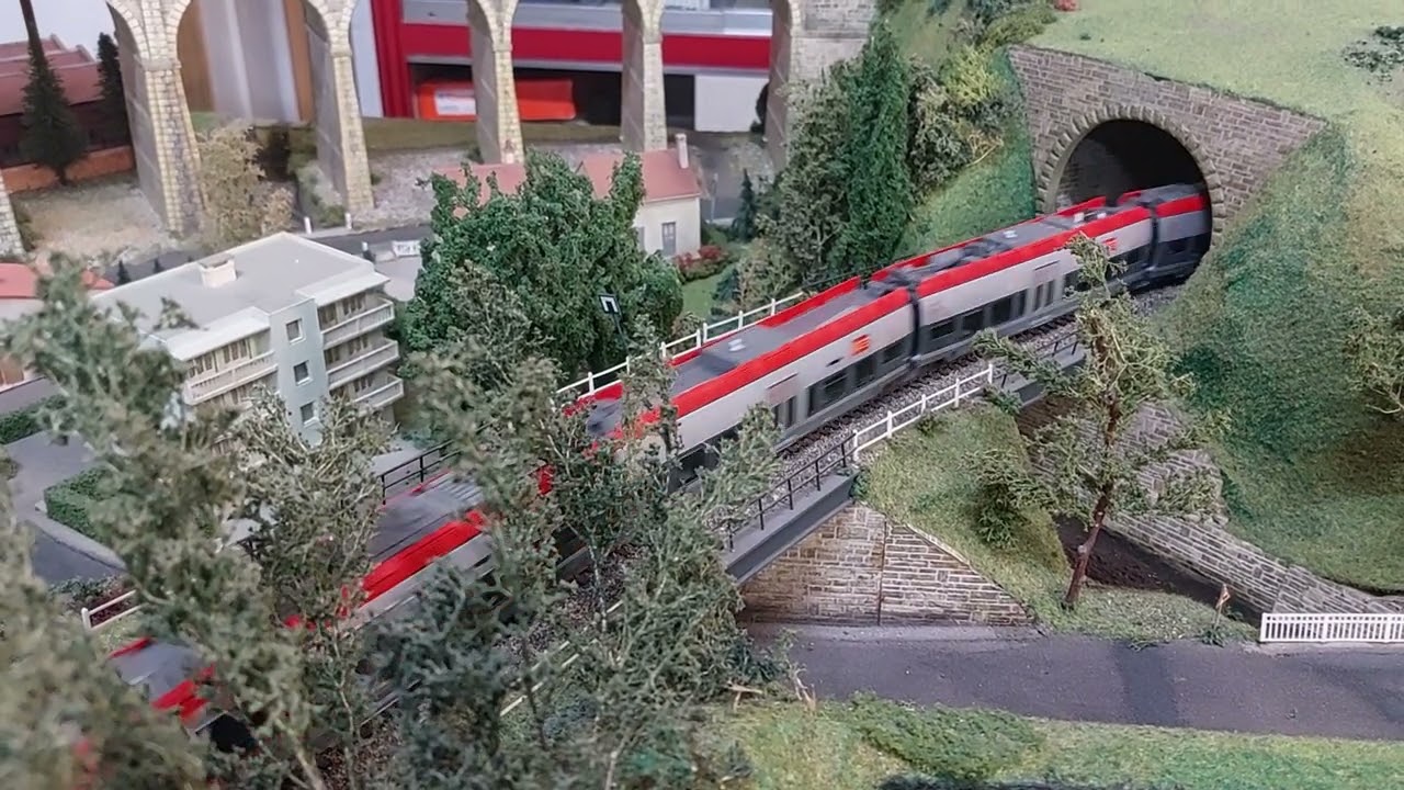 retour au club de Provins après 8 mois ! 🥰
