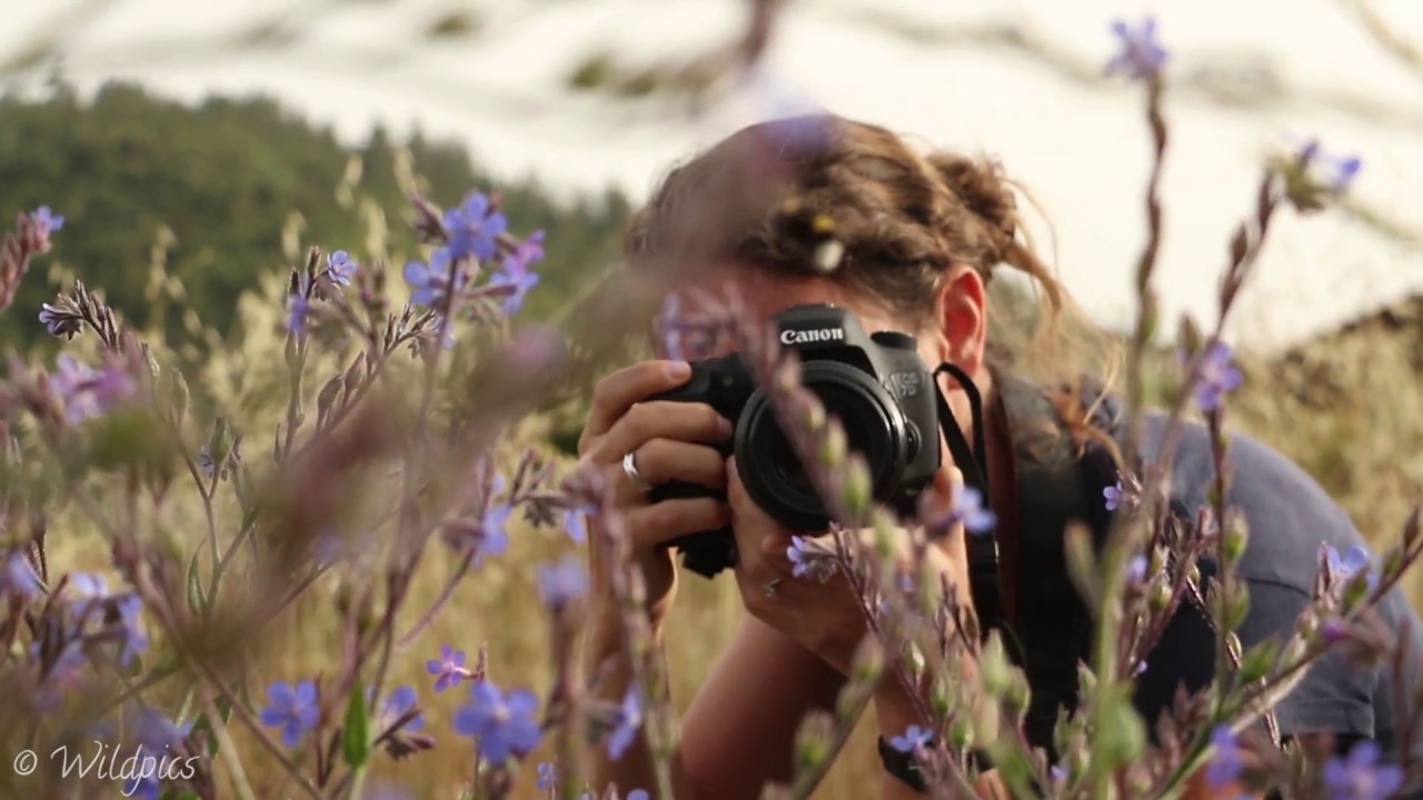 Wildpics Out and About: Macrophotography in the Atlas Mountains of Morocco