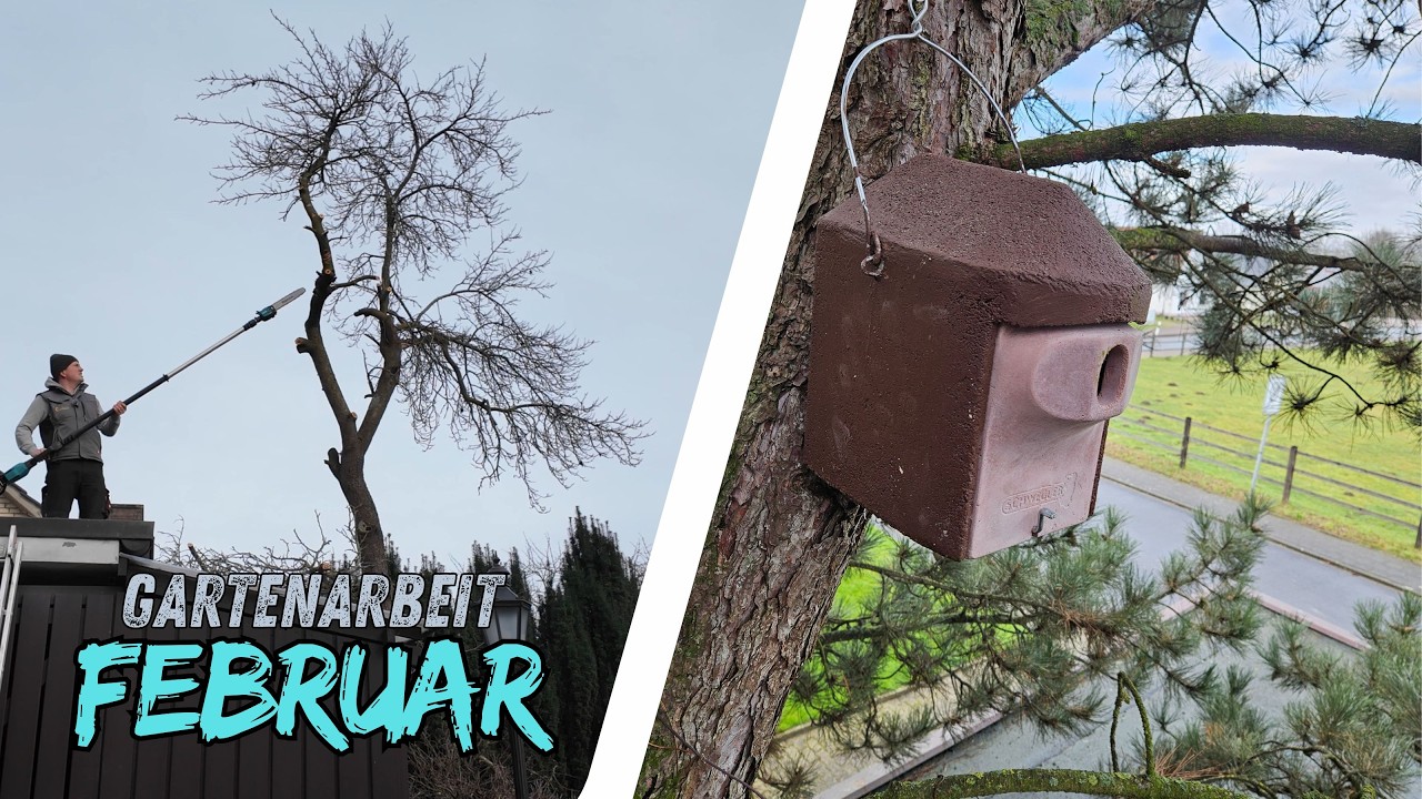 Der Baum muss weg | Gartenarbeit im Februar