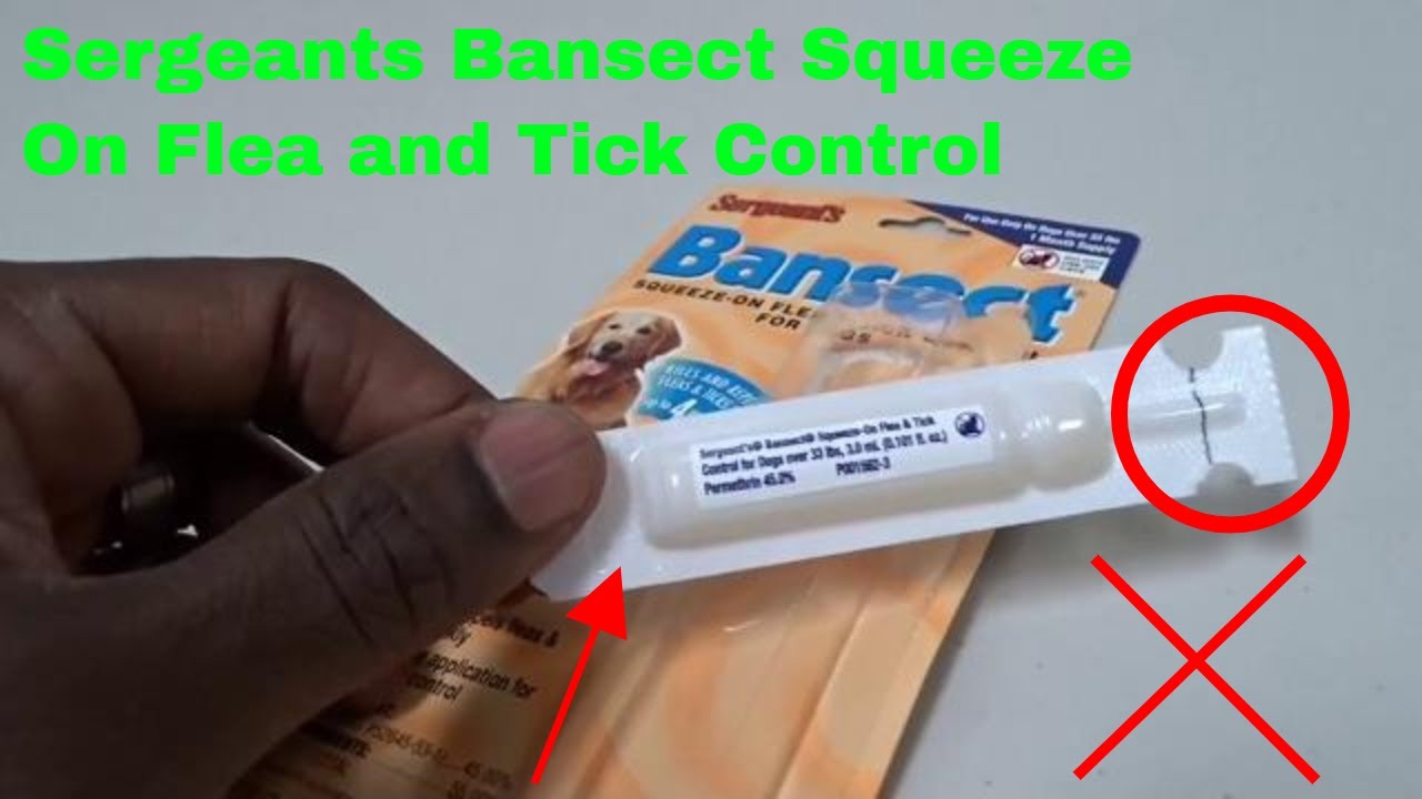 ✅  How To Use Sergeants Bansect Squeeze On Flea and Tick Control Review