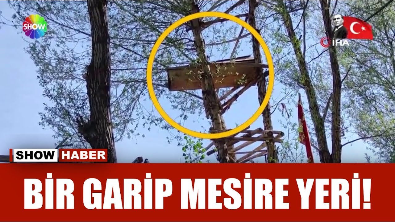 Ağacın üzerinde tabut koydular!