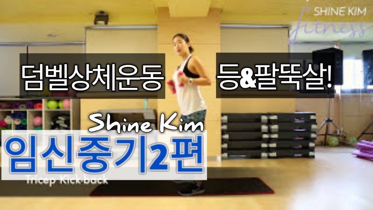 [임산부운동] 임신중기2편 / 상체운동 / 덤벨운동 / 등&팔라인