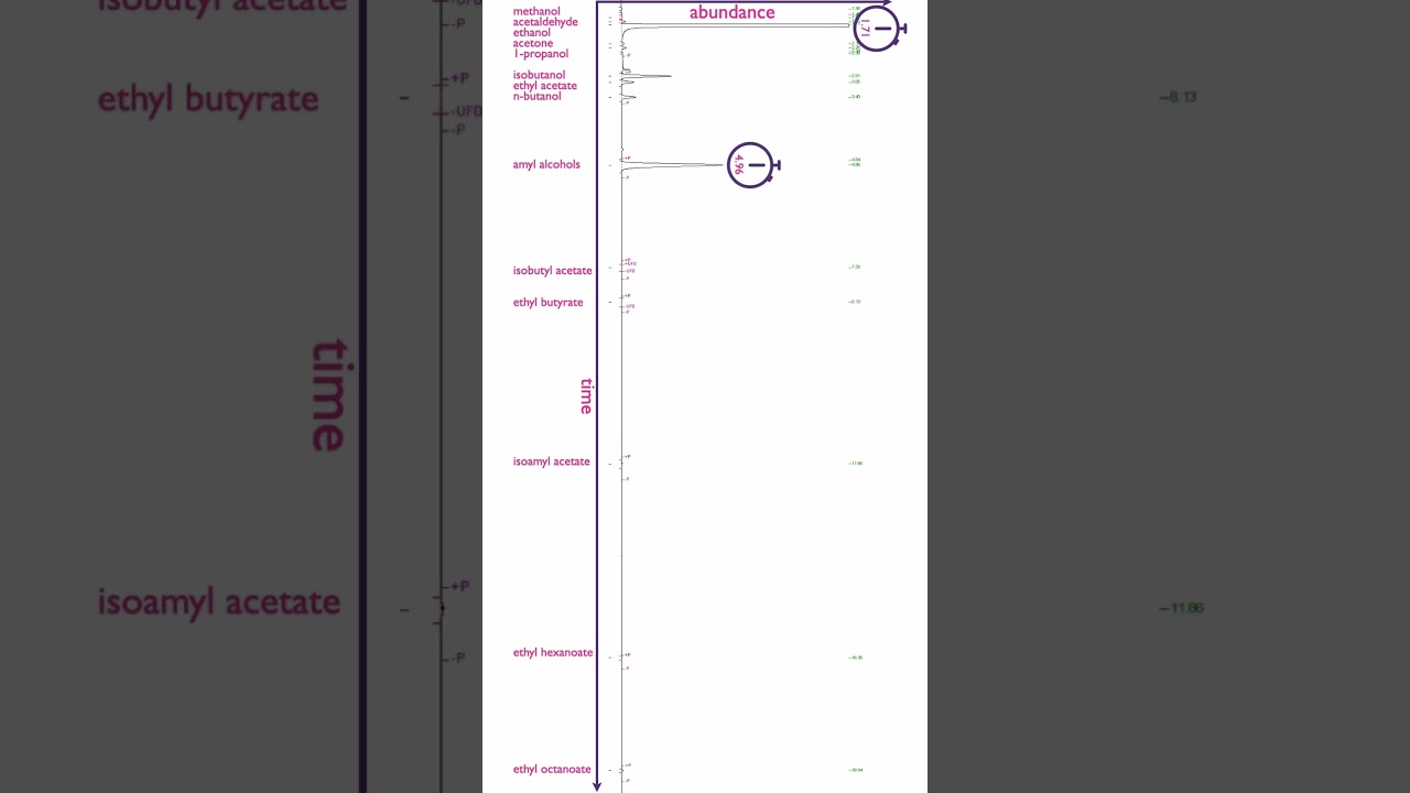How to read a chromatogram! GC/FID of rum!