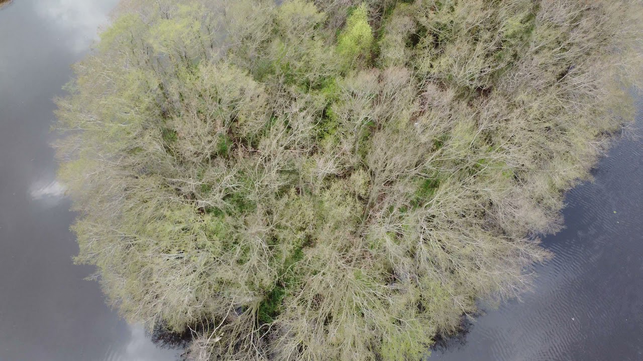April 2021 Neuefehn Hesel Stikelkamp Moormerland Sauteler Kanal Bagbander Tief Ostfriesland Drohne