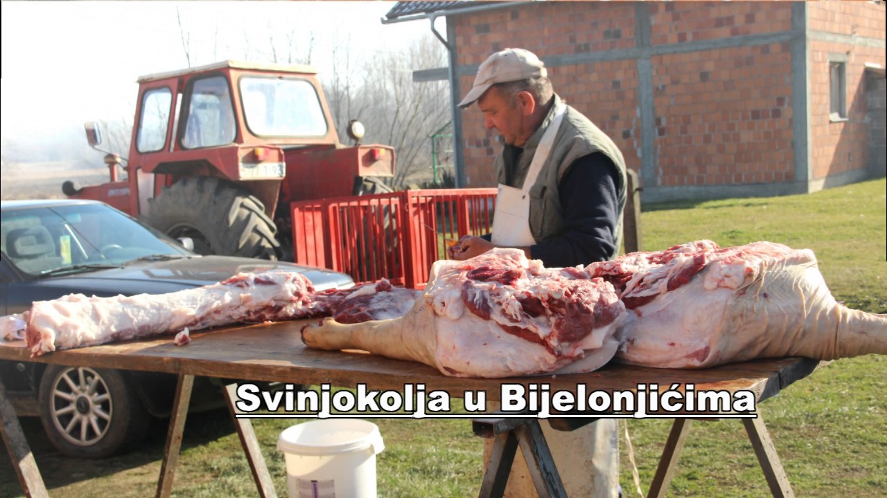 Crtice iz sela
