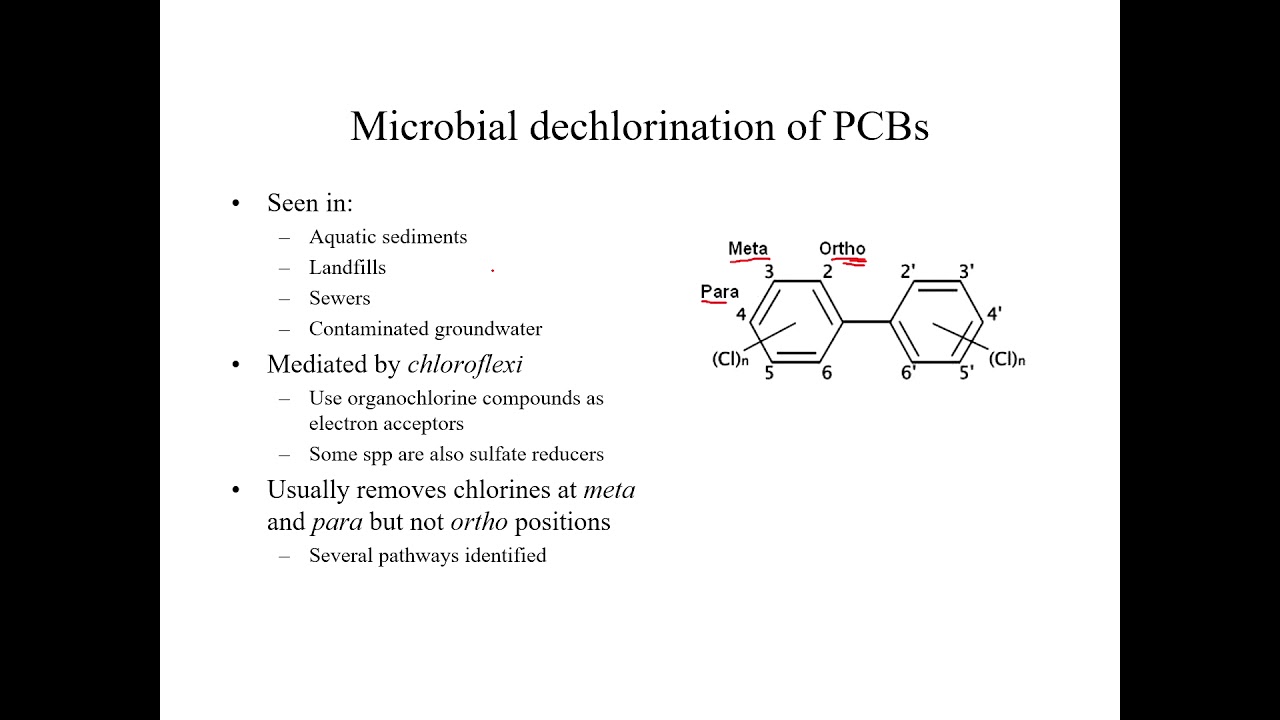 Reductive dehalogenation of persistent organic pollutants