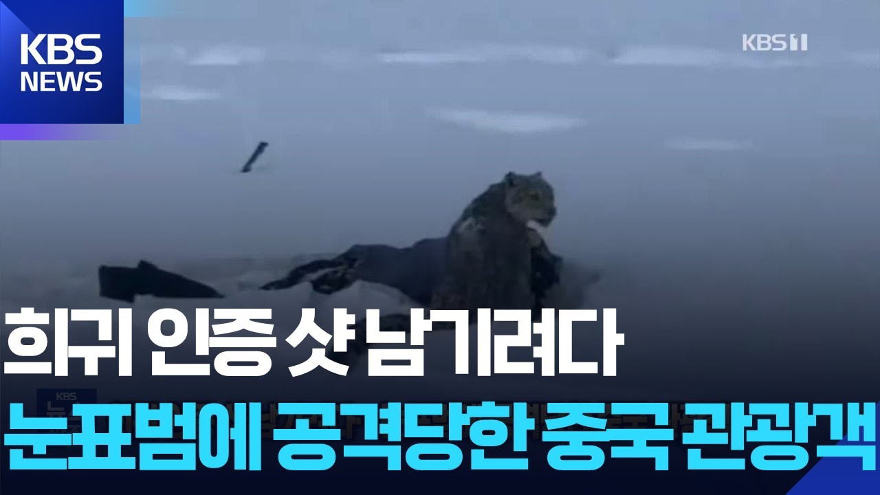 희귀 인증 샷 남기려다&hellip;눈표범에 공격당한 중국 관광객 [잇슈 SNS] / KBS  2026.01.28.