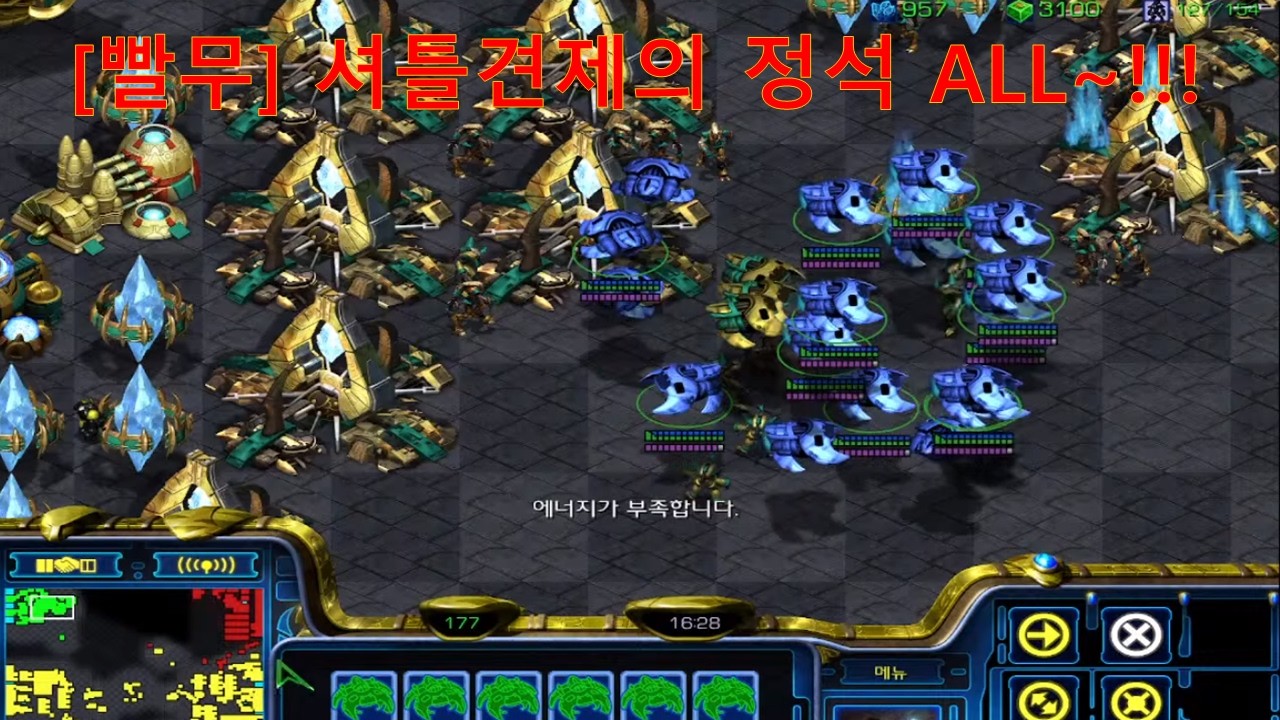 [빨무]견제의 정석~! ALL!! 이게 프로토스지