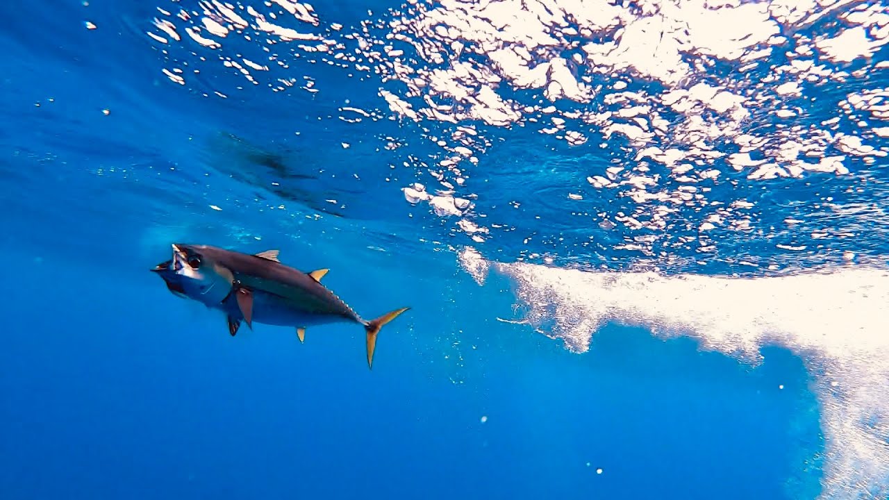 2019 Excel Sport Fishing part1