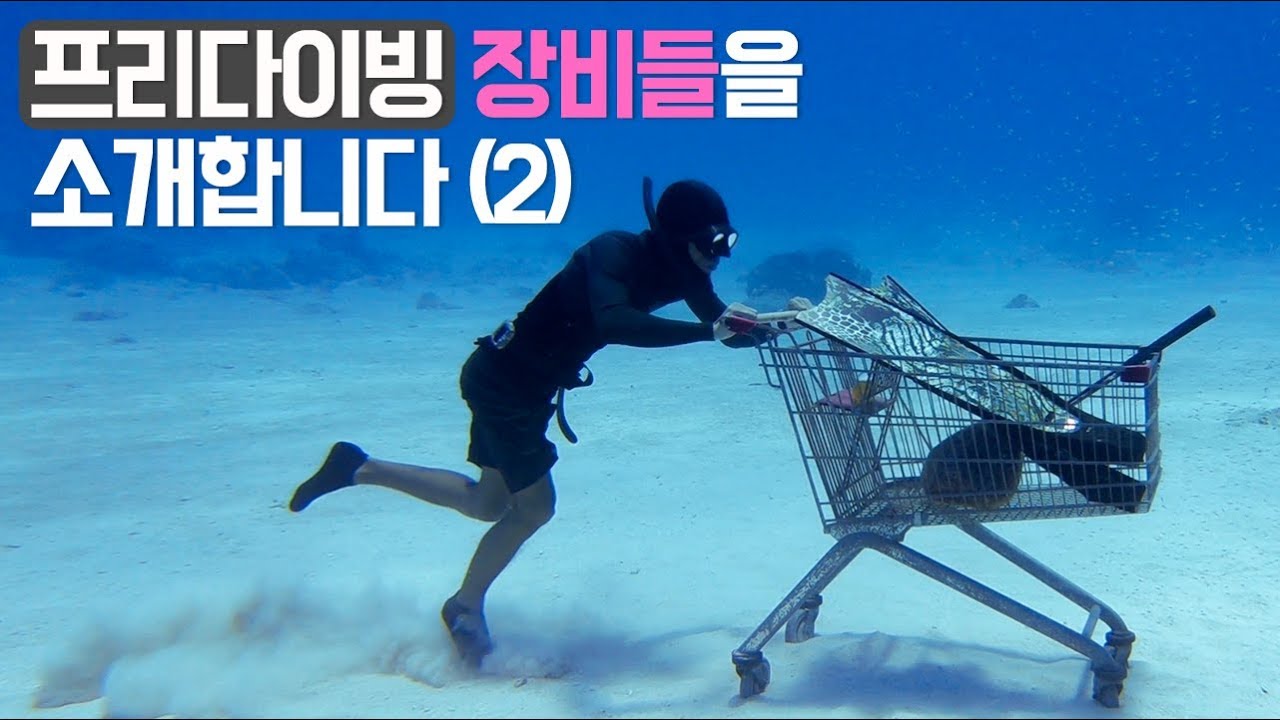 프리다이빙 장비를 소개합니다 2. 핀과 스노클, 웨이트 벨트 feat.  비오는 날의 바다
