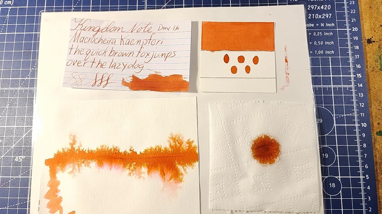 #30inks30days June 28 2023 Kingdom Note Machocheira Kaempferi