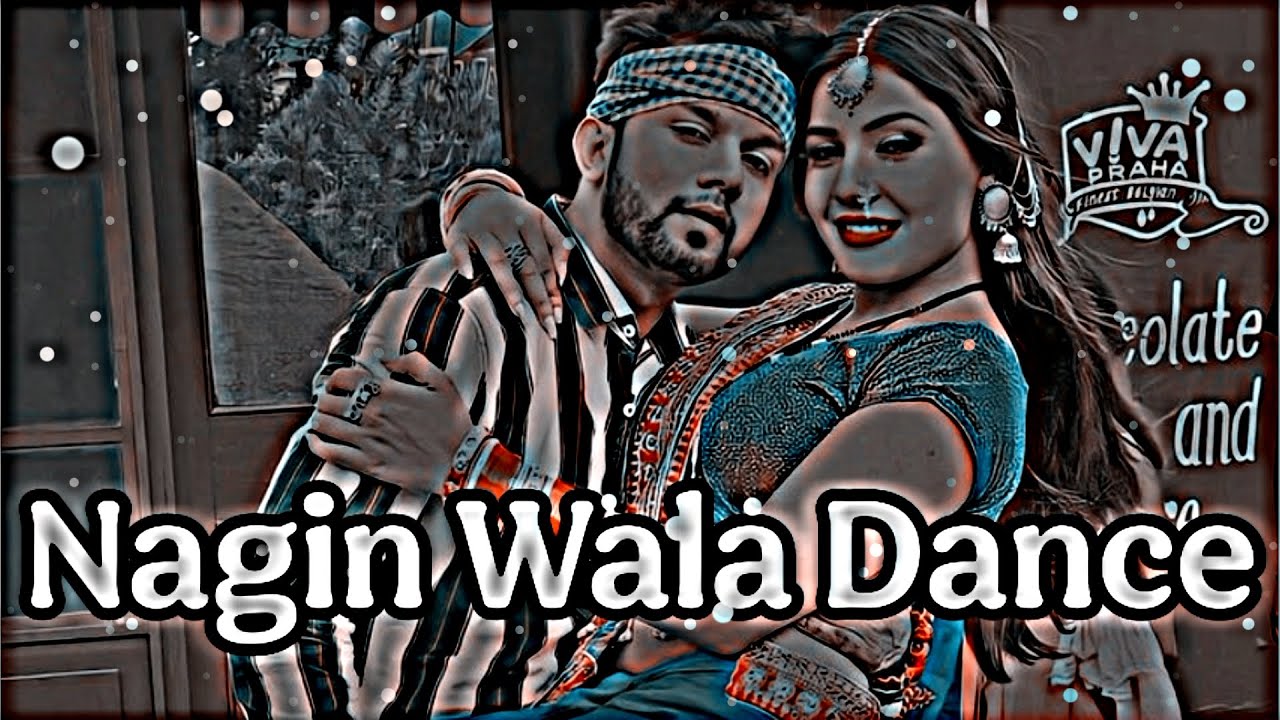 #Slowed Reverb | nagin wala dance karelu | #lofi song Slowed Reverb