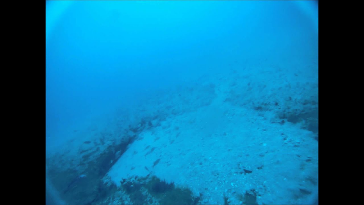 Team Rezoned 2015 Spearfishing Highlights HD
