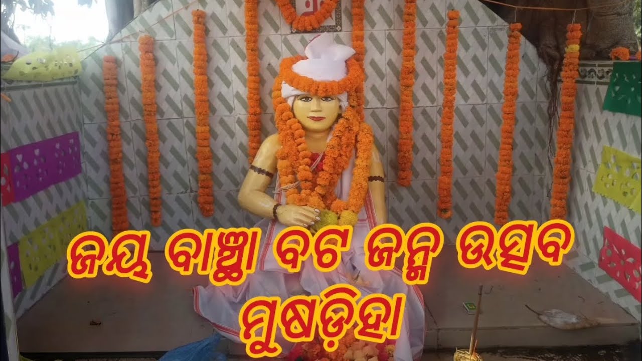 ଜୟ ବାଞ୍ଛା ବଟ ଜନ୍ମ ଉତ୍ସବ ମୂଷଡ଼ିହା@Gouranganayakodiavlogs @Amaramuzikodia #ashok #odia vlog#jagannath 