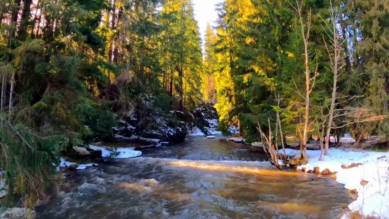 5-Minute Mindfulness: Daily Meditations for Stress Relief 258