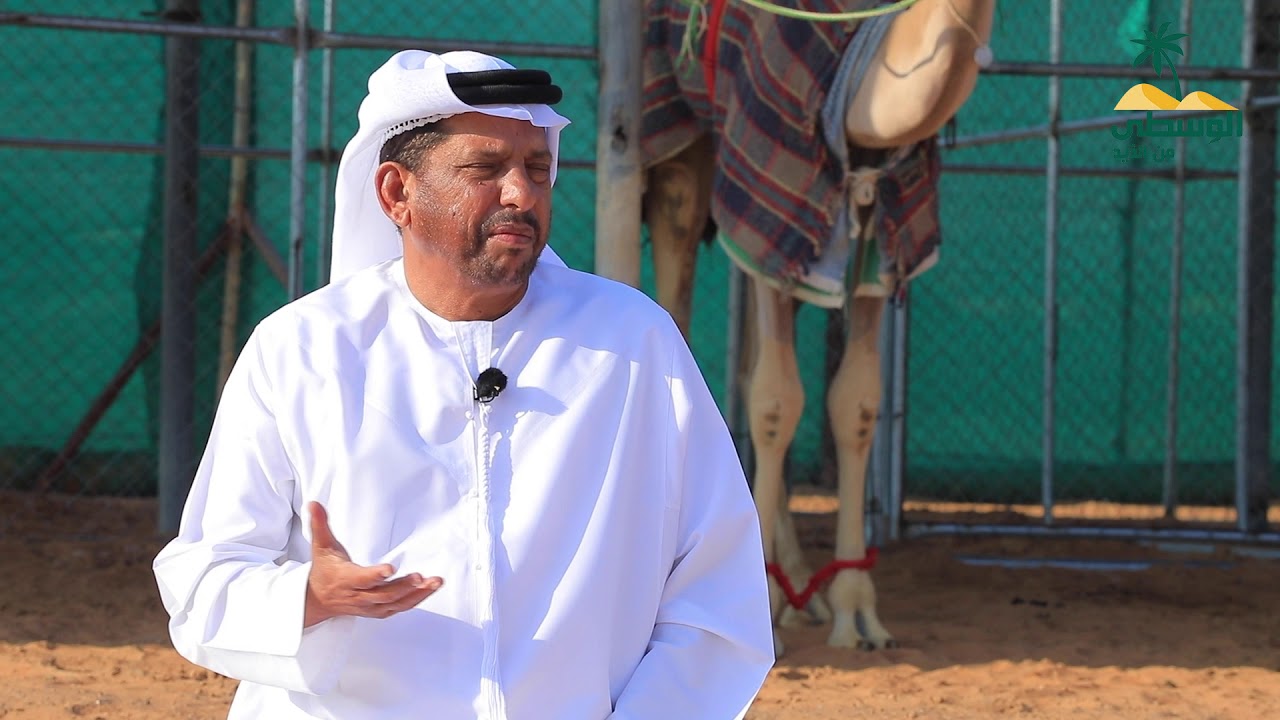 أهل الابل - عبدالله سالم المسافري