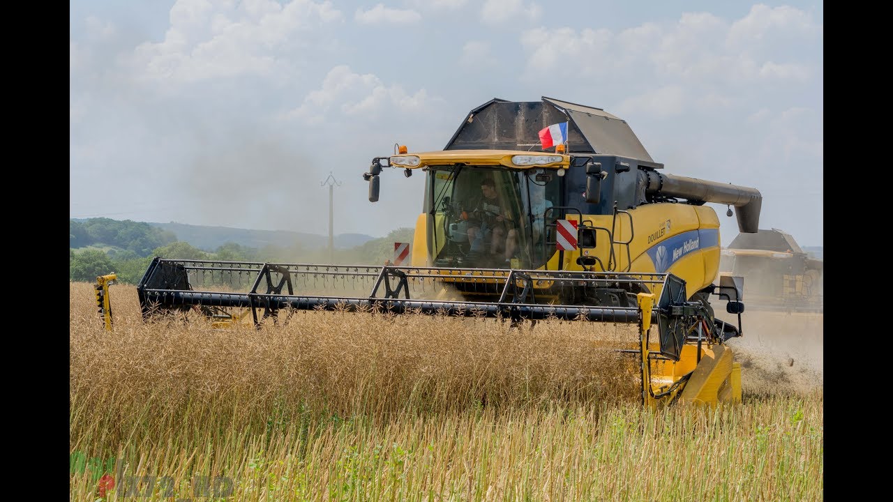 Moisson 2018 | 3X New Holland CR9080 CX8080 CX8090
