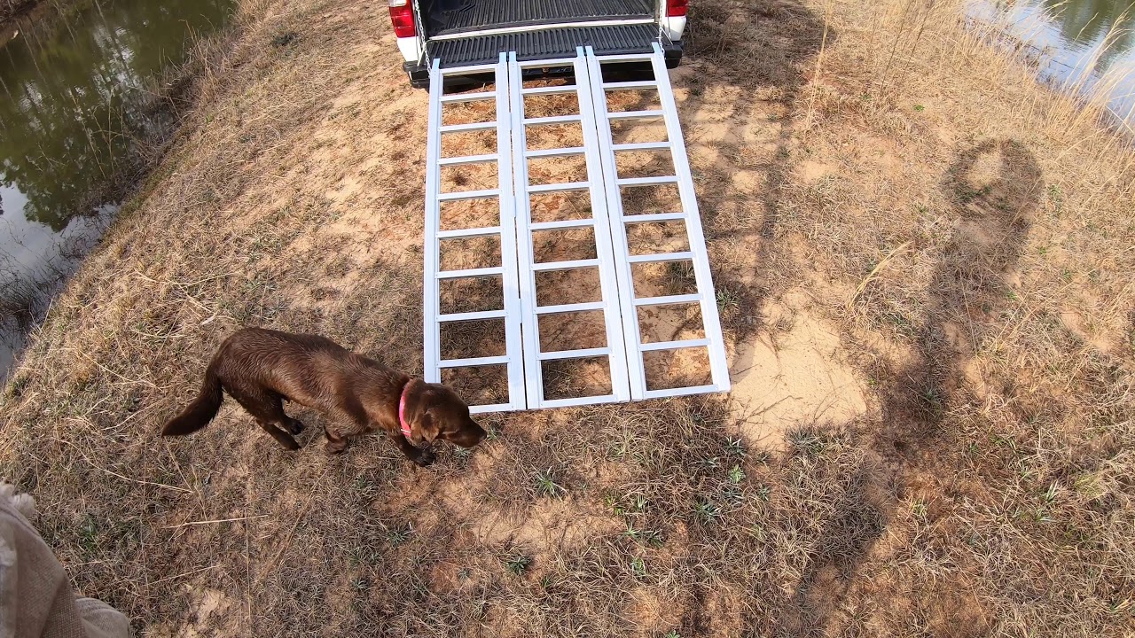 THE BEST ATV TRUCK BED RAMP - Harbor Freight HaulMaster Trifold Aluminum ATV/Motorcycle Ramp Review