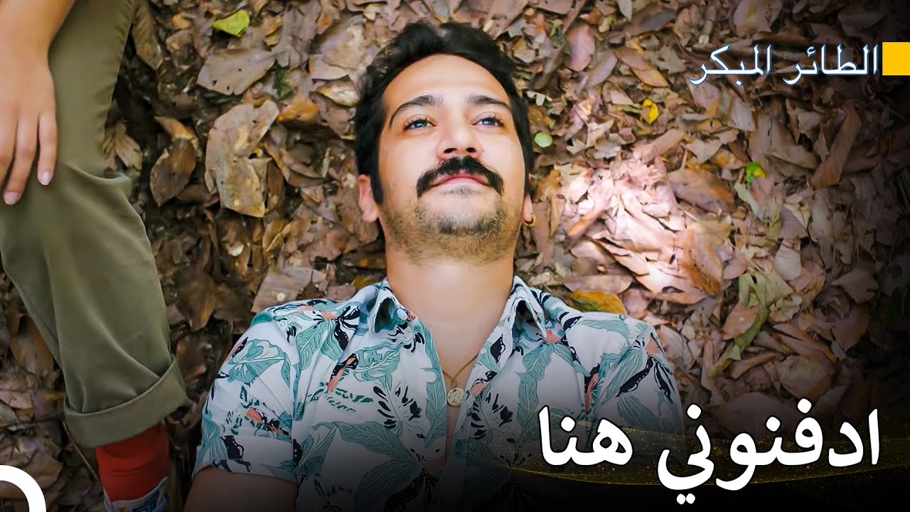 جي جي  لم تتحمل الضغط - سلسل الطائر المبكر
