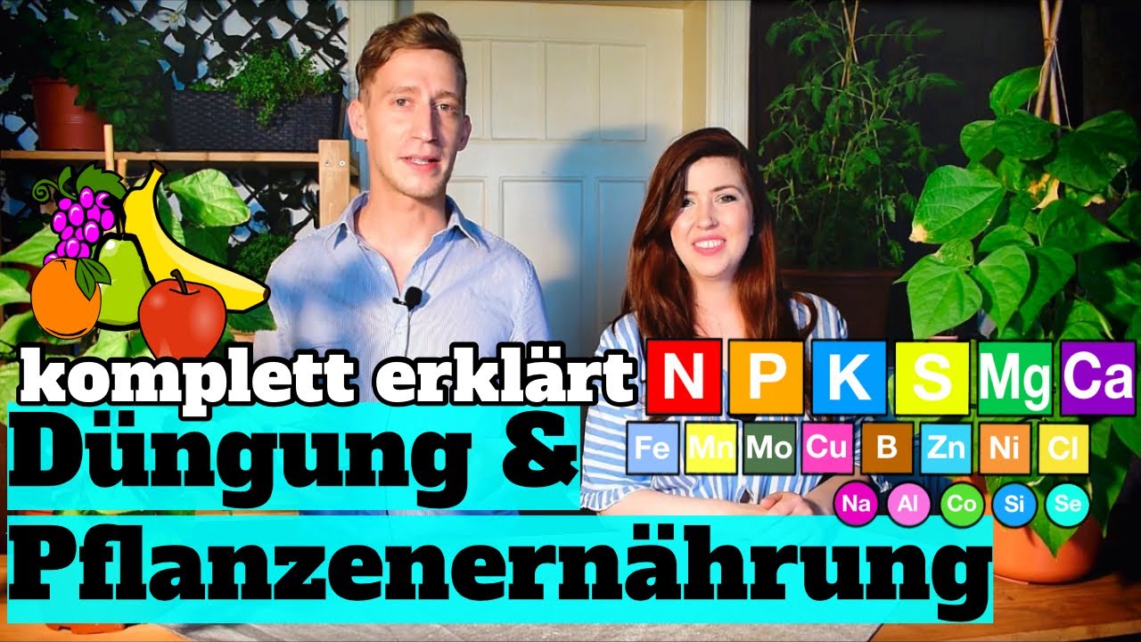 Dünger & Pflanzenernährung: Alles über Dünger, Mangelsymptome & bedarfsgerechte Düngung bei Pflanzen