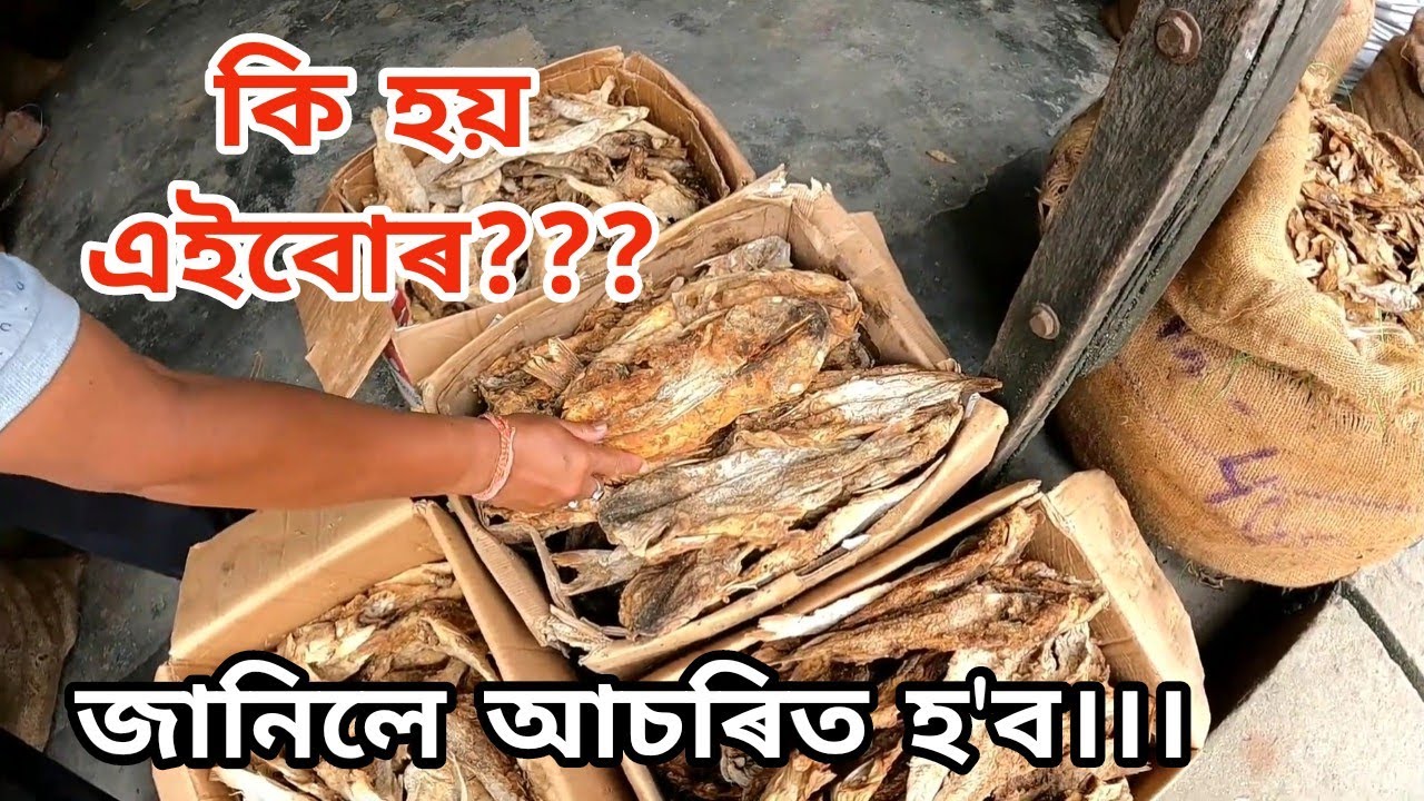 Jagiroad Dry Fish Market | Largest Dry Fish Market | জাগীৰোড শুকান মাছৰ বজাৰ মৰিগাঁও