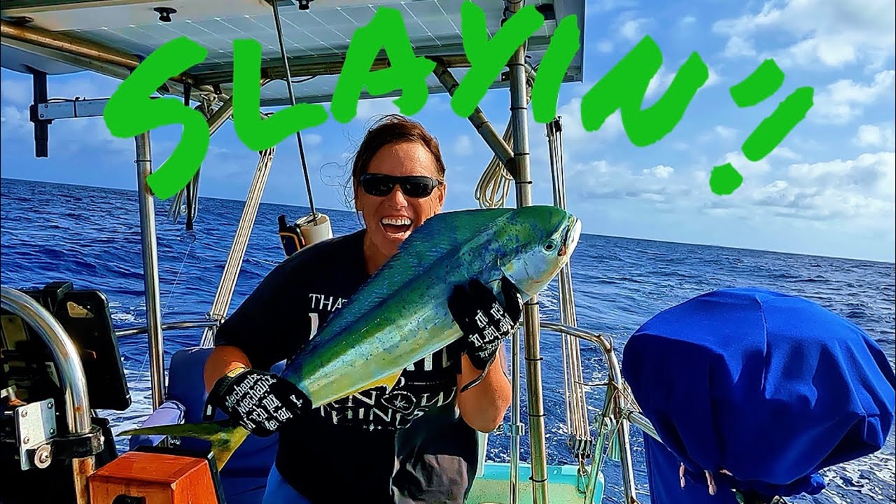 Making waves and SLAYIN’ the mahi! Freezer is packed! (Ep 18)