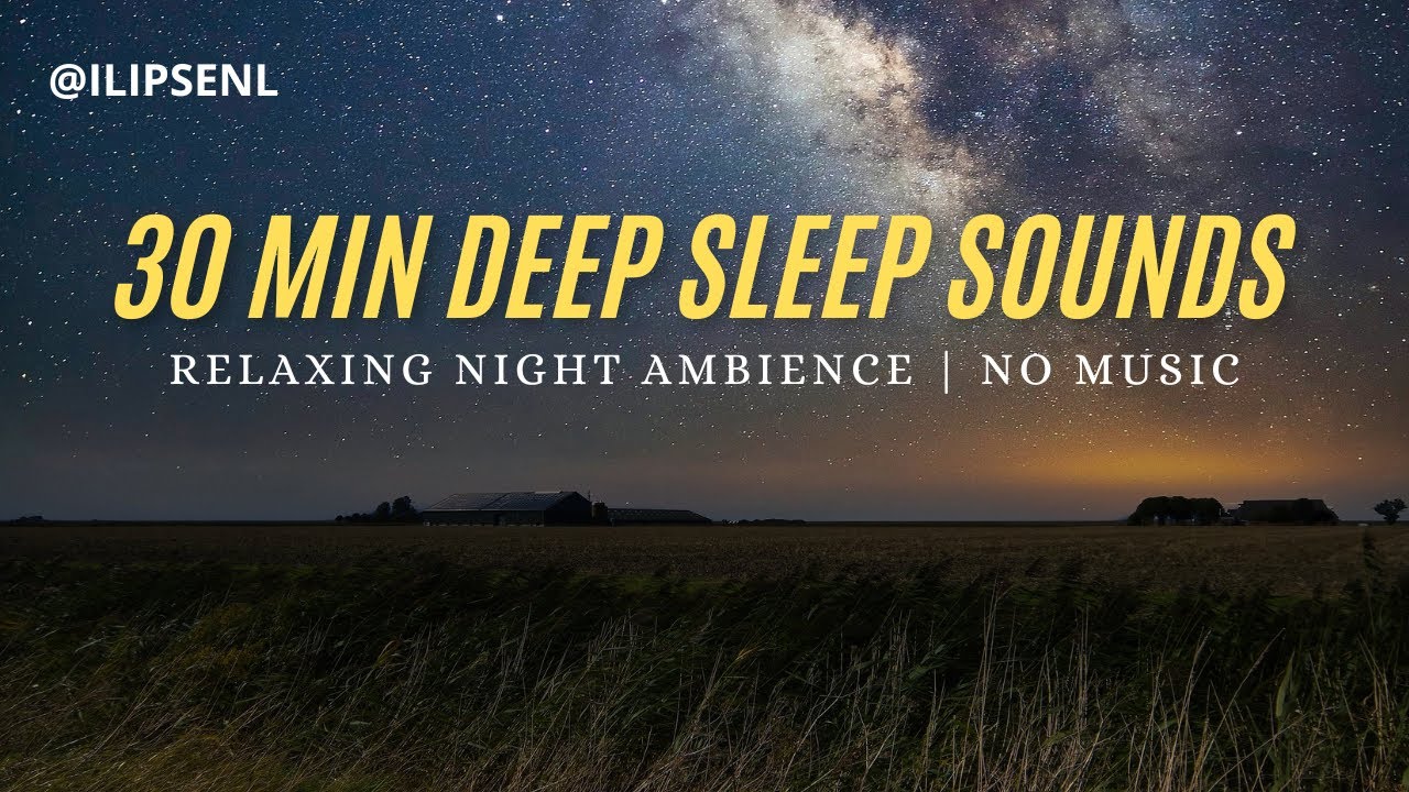 30 Min Deep Sleep Sounds | Relaxing Night Ambience for Quick Stress Relief & Better Sleep (No Music)