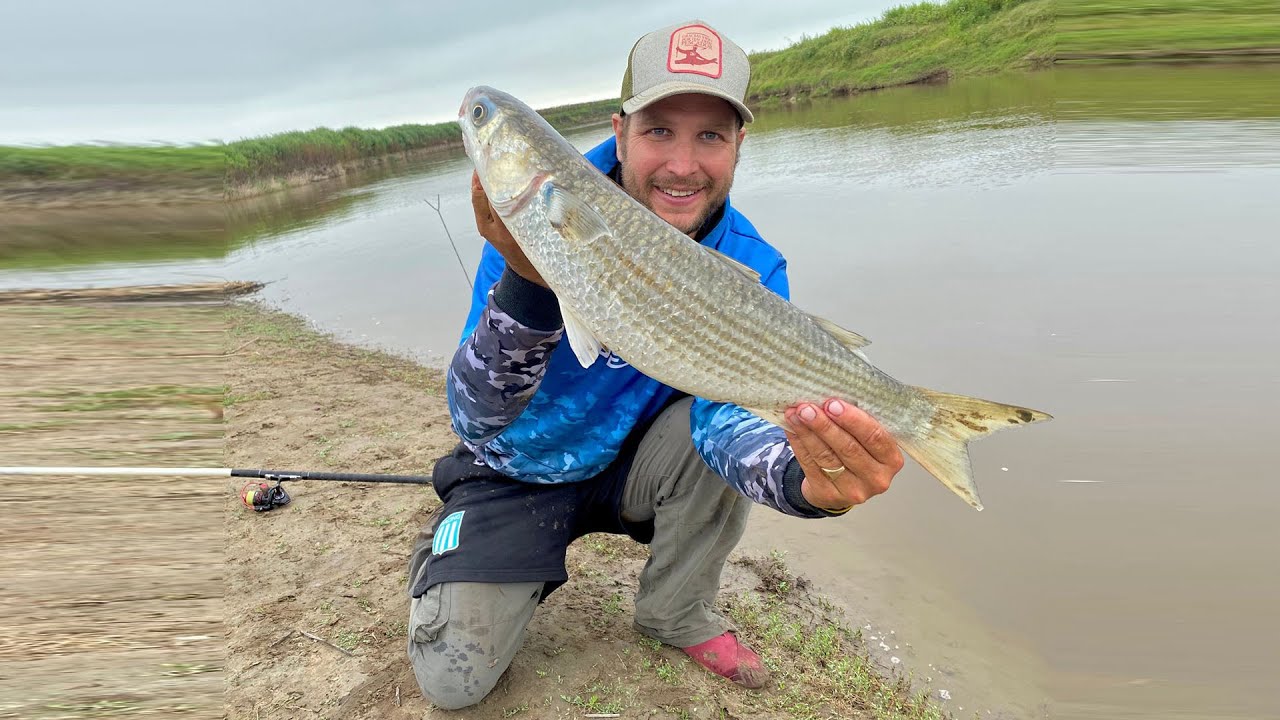 Pesca de Lisas, una locura inexplicable!!!