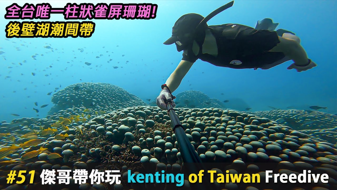 蛤?沒看過柱狀雀屏珊瑚沒跟我說你潛過後壁湖出水口 | 自由潛水 | 墾丁潛點 kenting | 傑哥帶你玩 Jerrygoplay | Freediving