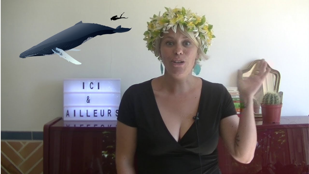 *** JE NAGE AVEC LES BALEINES ENTRE TAHITI ET MOOREA ***