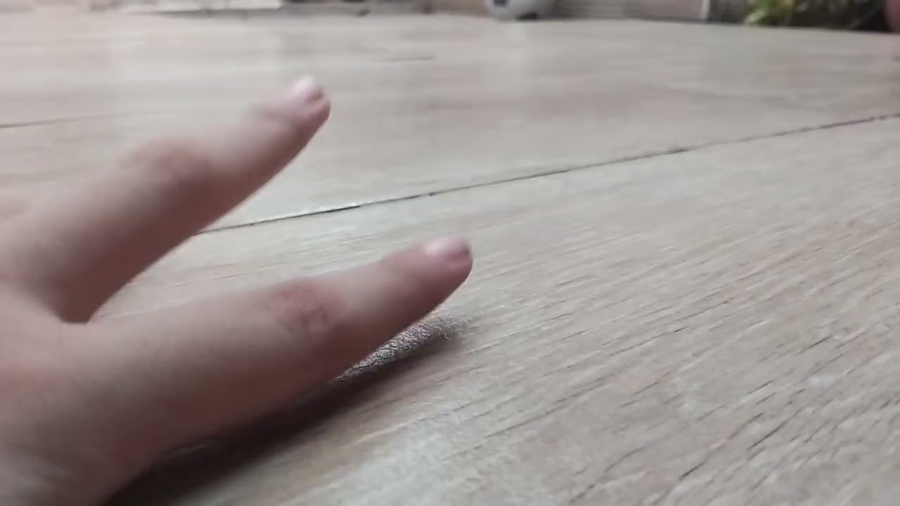 TREILE PARTE 2 ZOZO MIMICO E DEPARTAMENTO OFICIAL 2026