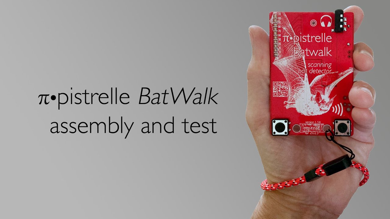 π•pistrelle BatWalk assembly and test