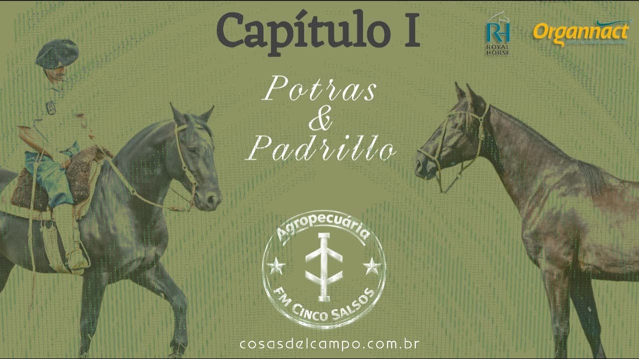 🥇Capítulo I - FM Confiança  do Cinco Salsos - Aceguá RS -