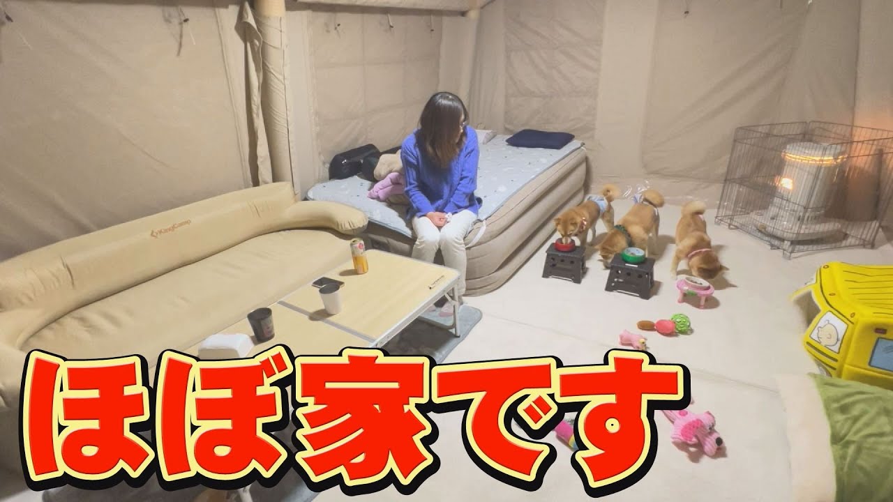 日本では入手困難な、巨大テントでキャンプしました