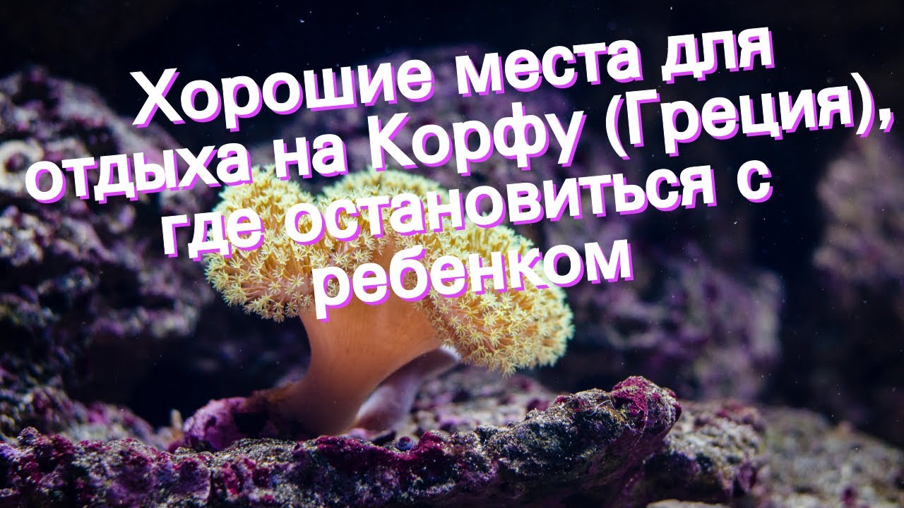 Хорошие места для отдыха на Корфу (Греция), где остановиться с ребенком