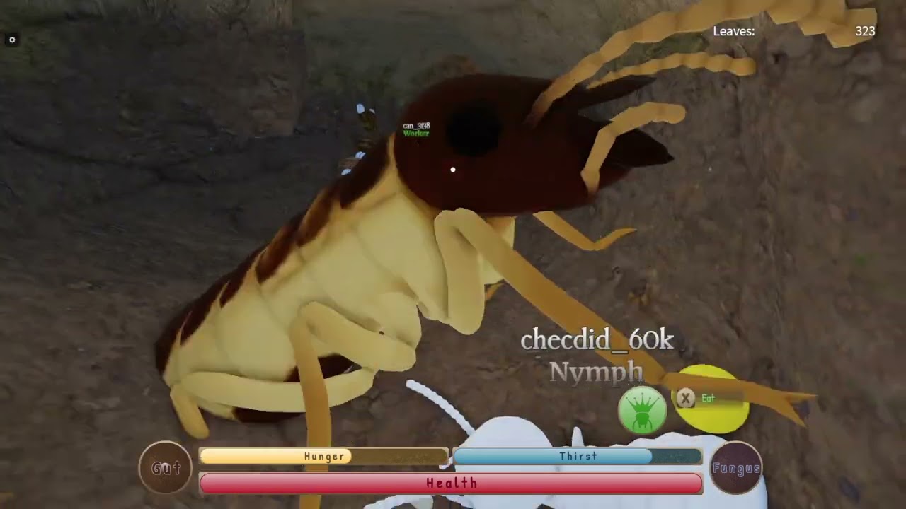 I succesfully grew a colony! [Roblox Kingdom of the Termites] [gameplay!] #2